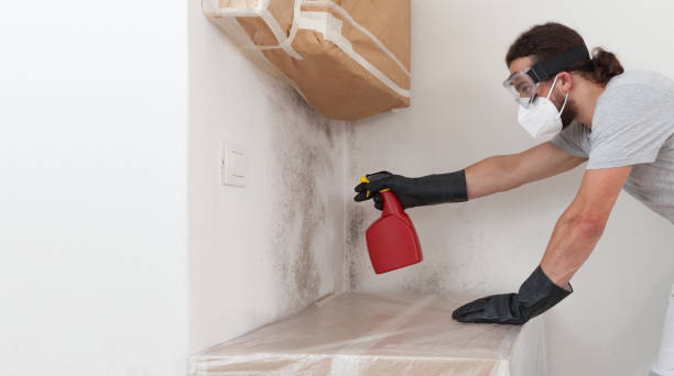Professional Bathroom Mold Removal technician working in Closter, NJ